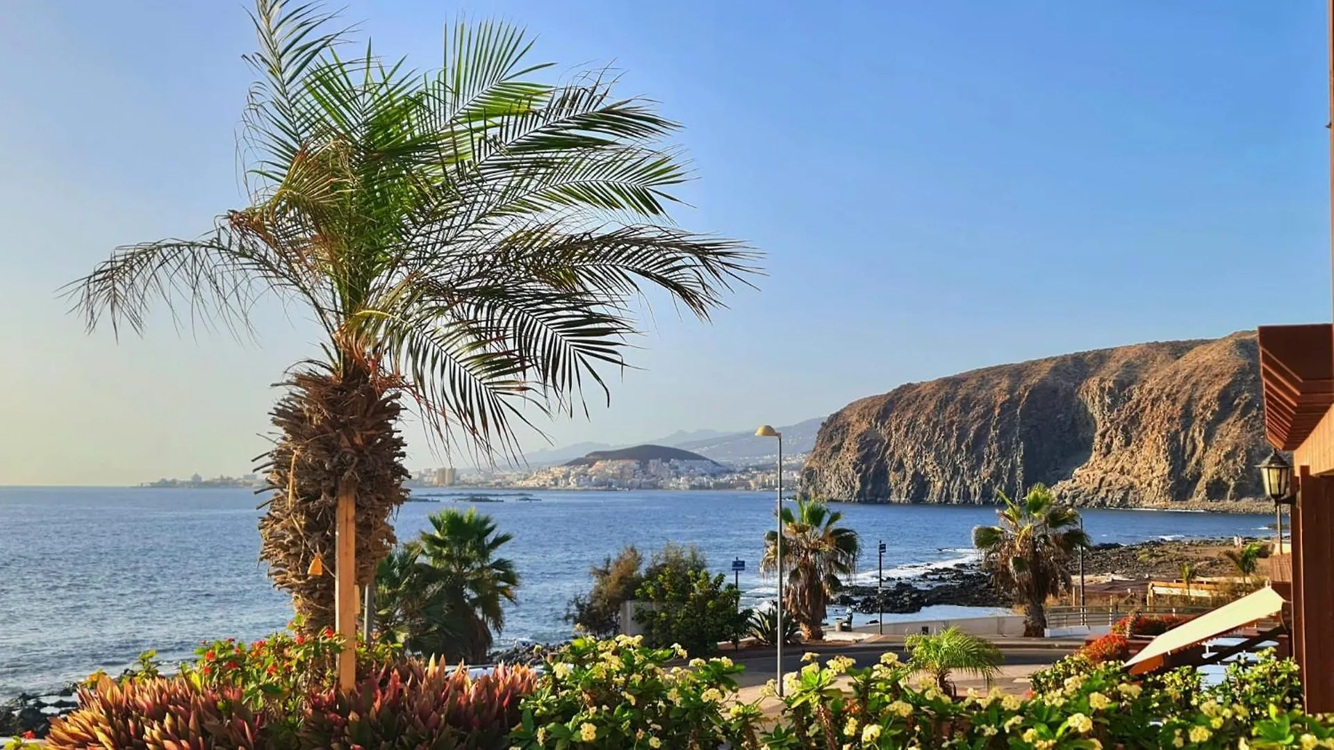 View Of Paradise Palm-mar Lägenhet