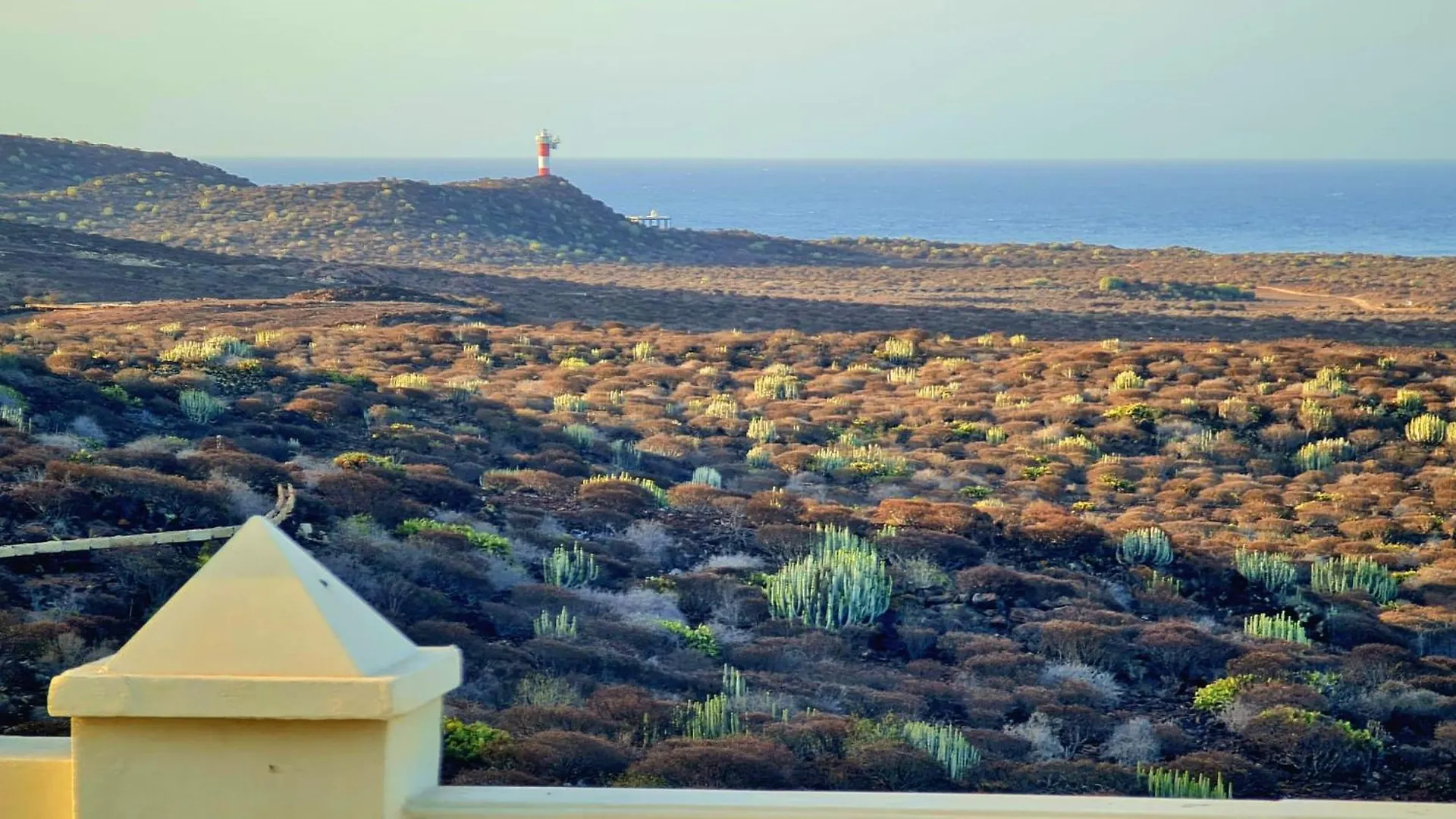 Lägenhet View Of Paradise Palm-mar