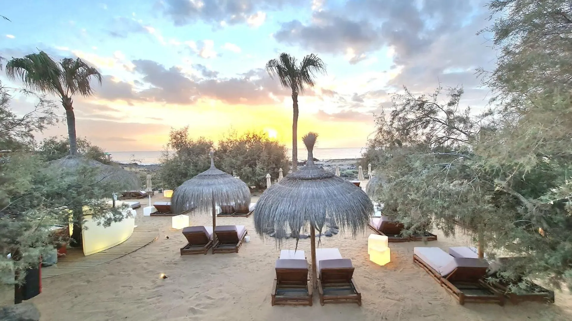 View Of Paradise Palm-mar Spanyolország