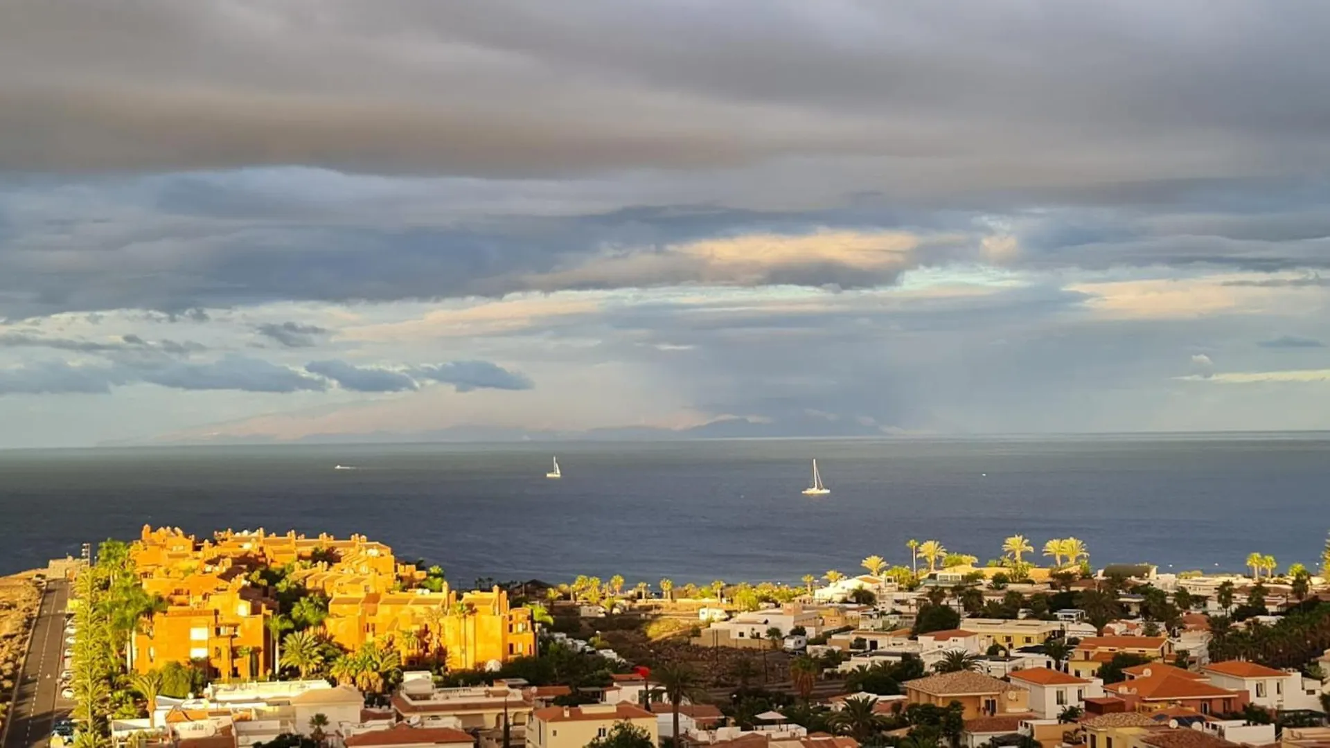 View Of Paradise Palm-mar